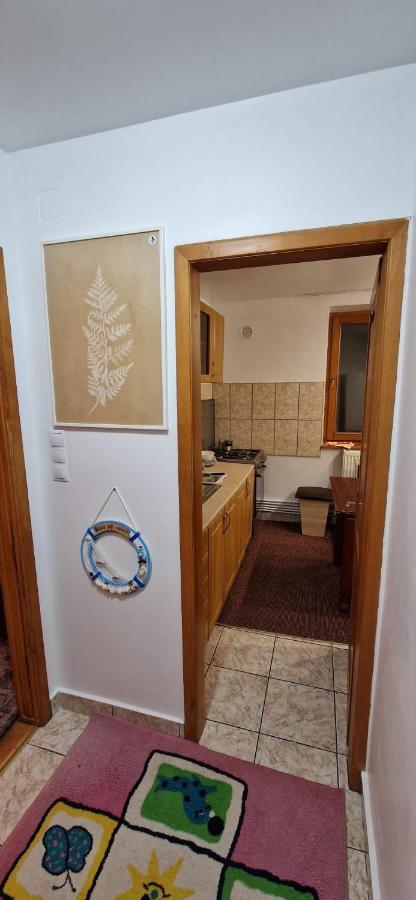 Apartmán Anastasia. Tulcea Exteriér fotografie